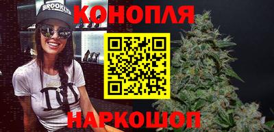 крисы Гай