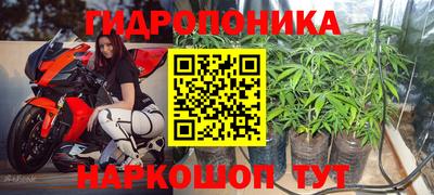 шишки Гагарин