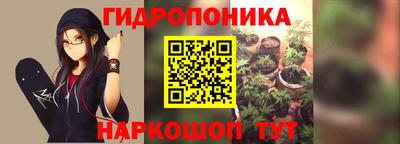 крисы Гай