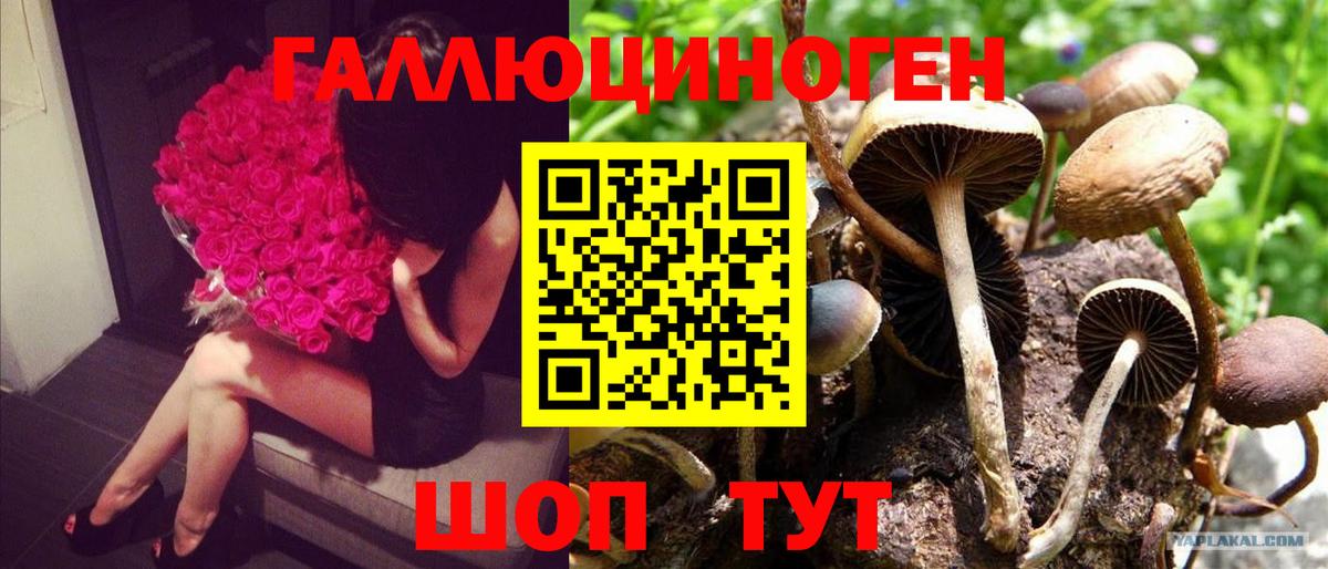 Подольск  Псилоцибиновые грибы ЛСД  Вход с VPN 